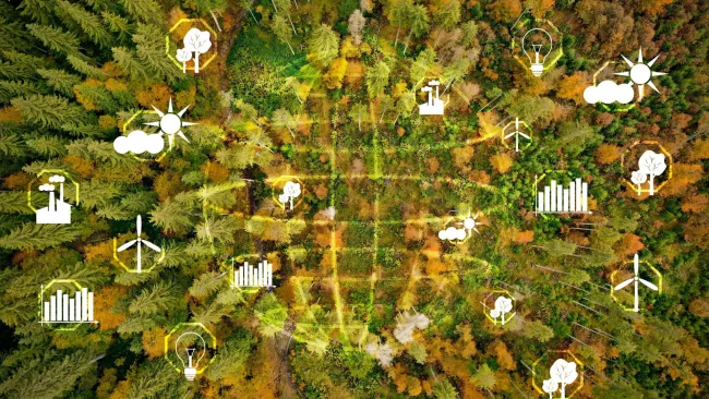 Green abstract info-graphic