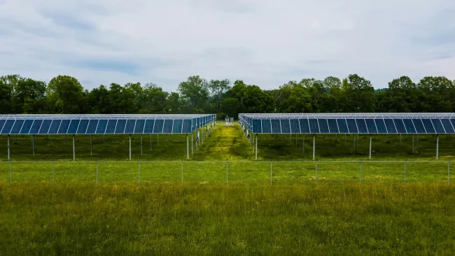 Solar panels in a field
